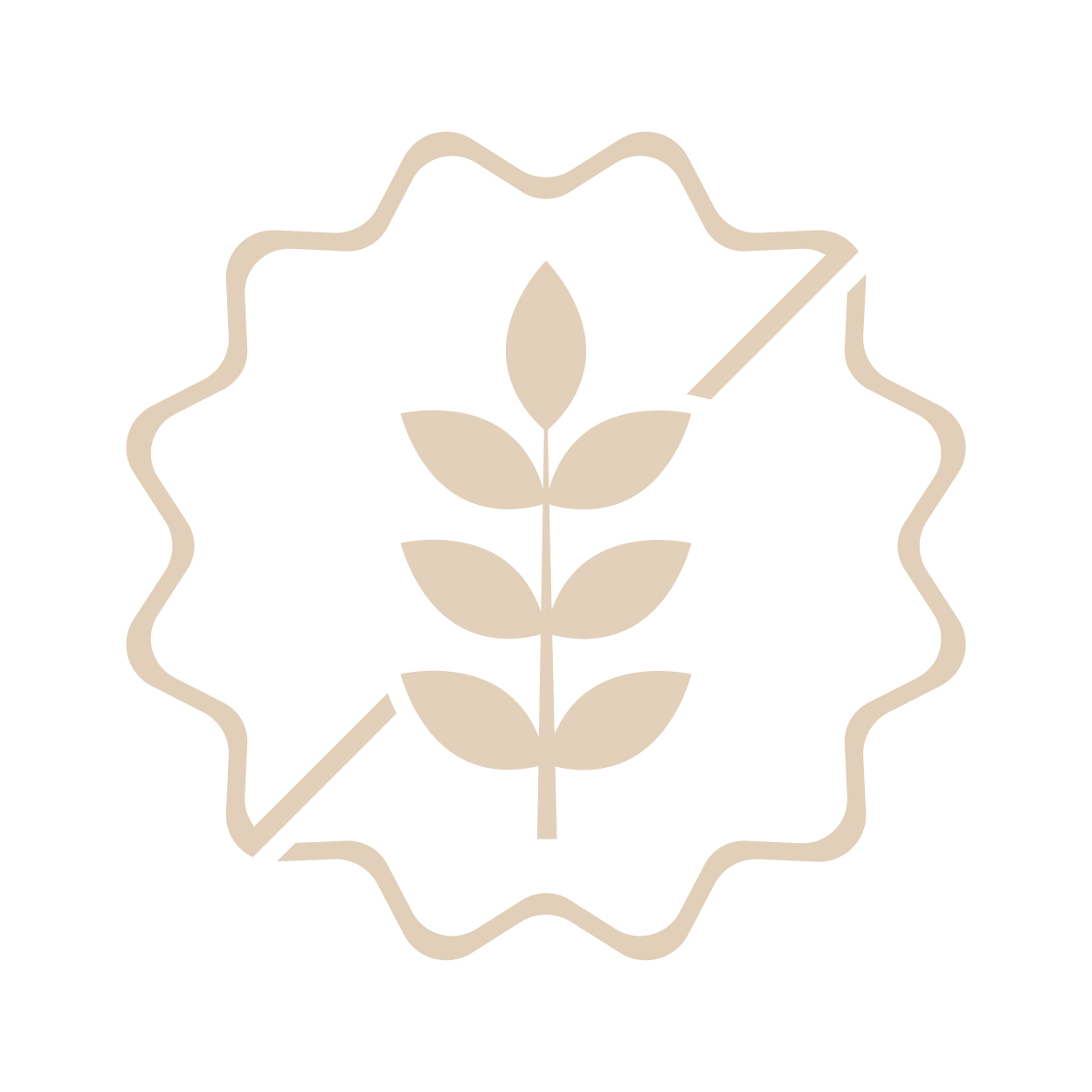 ACEITE CBD 20%