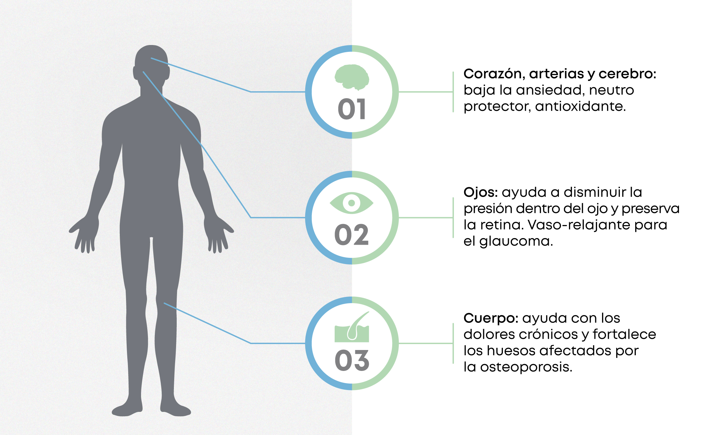 ACEITE CBD 10%