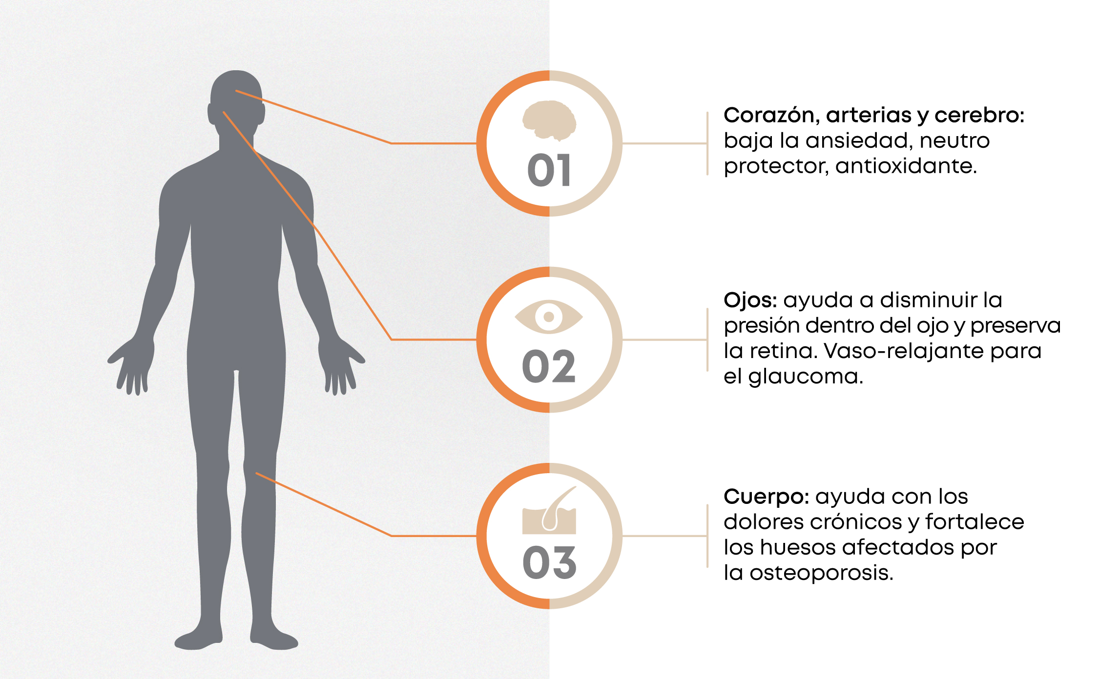 ACEITE CBD 20%