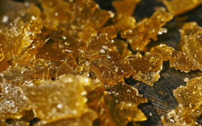 «Concentrados de CBD de Cannabis: Definición y Variedades Disponibles en el Mercado»