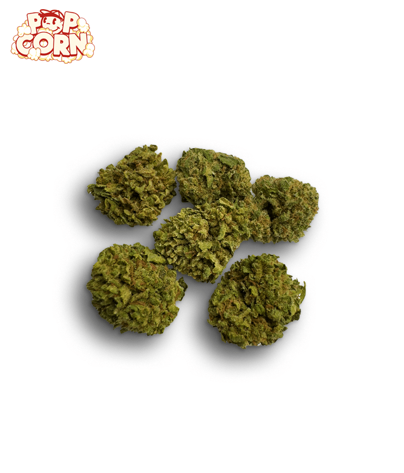 JUMBO PACK CBD