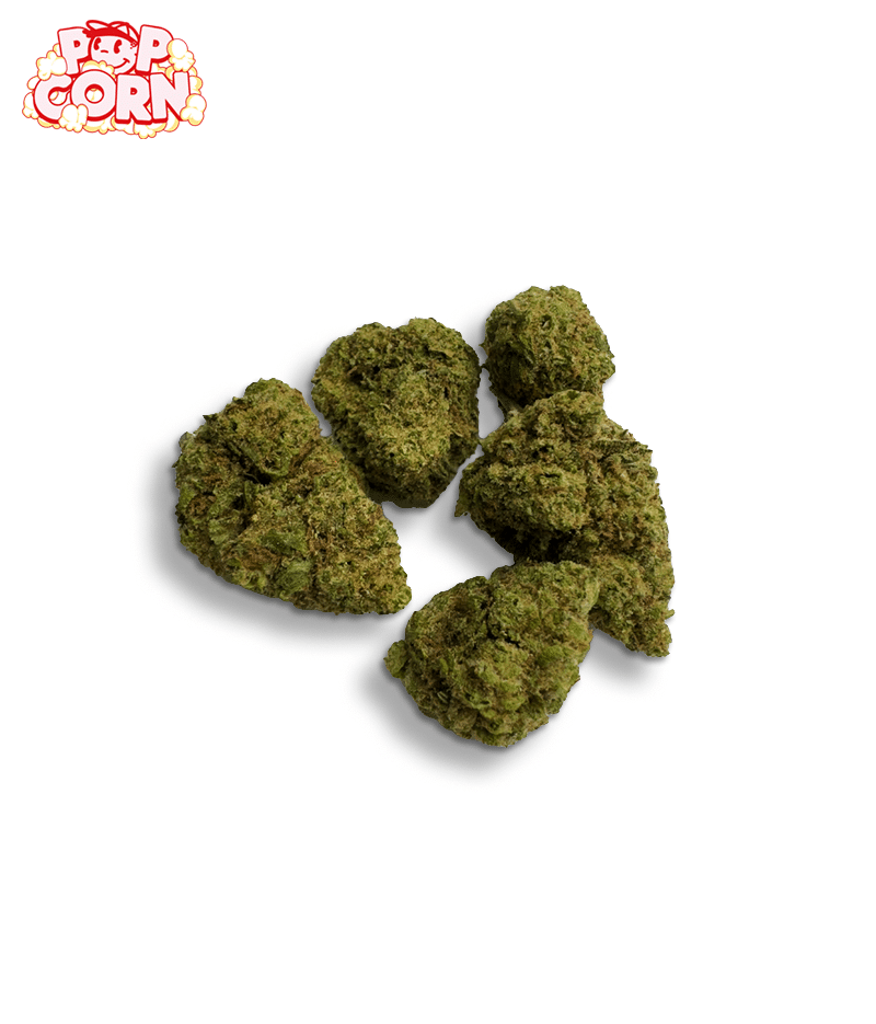 JUMBO PACK CBD