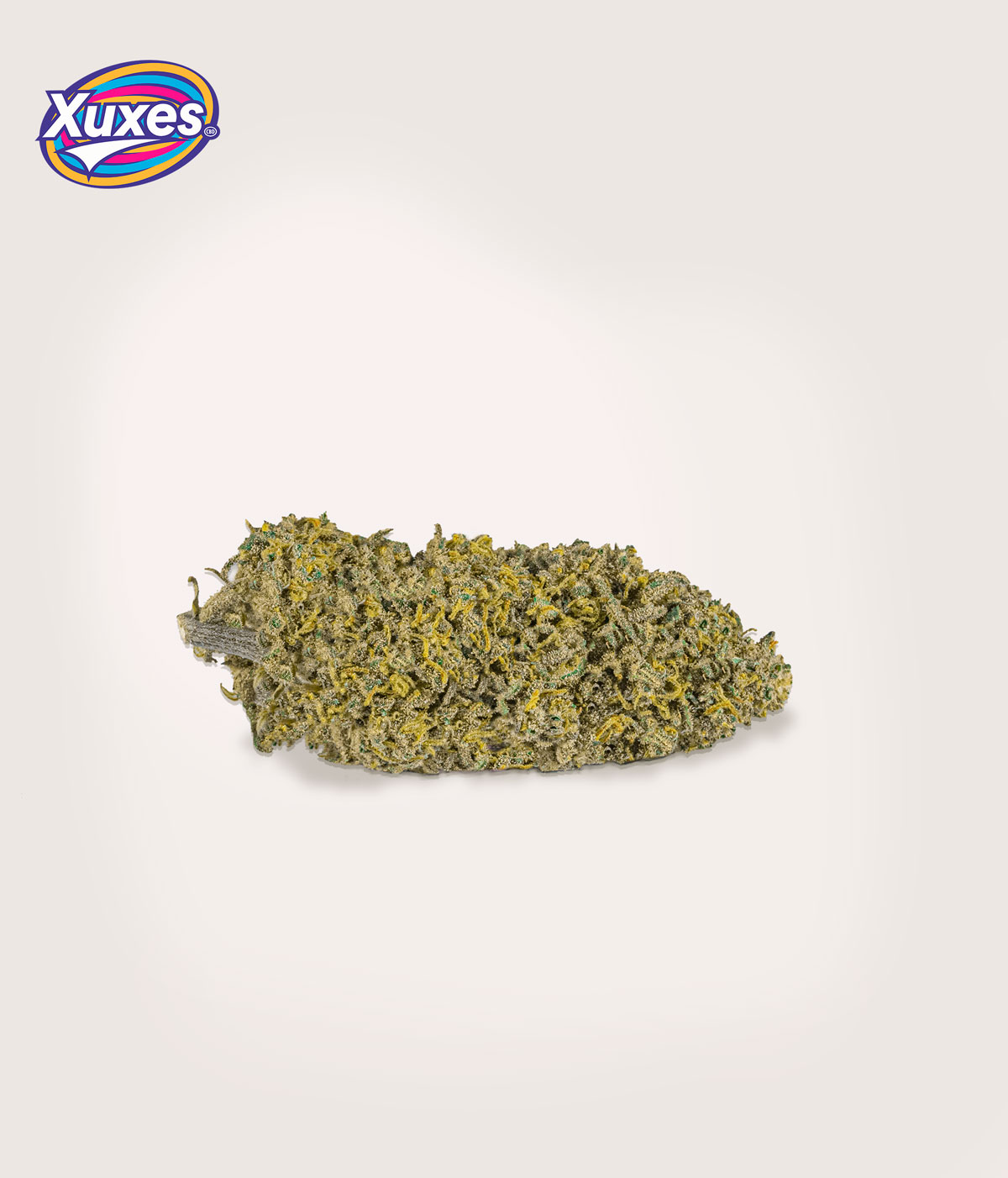 AMNESIA CBD