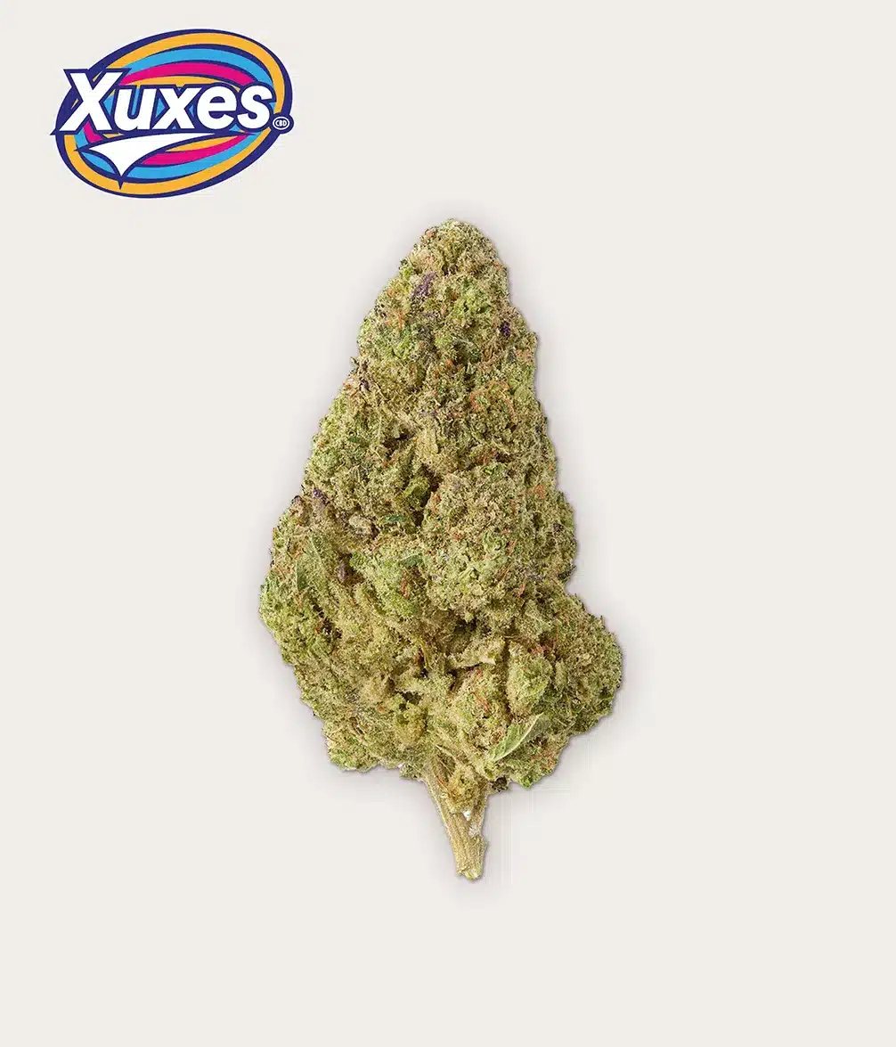 AMNESIA CBD