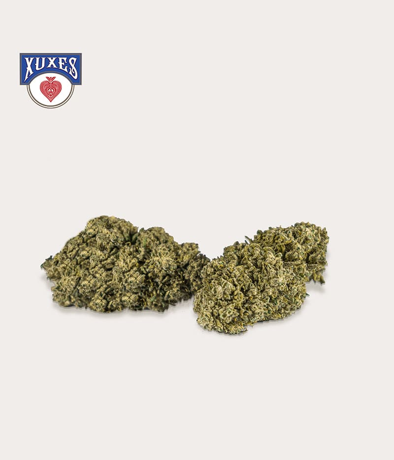 PACK XUXES CBD