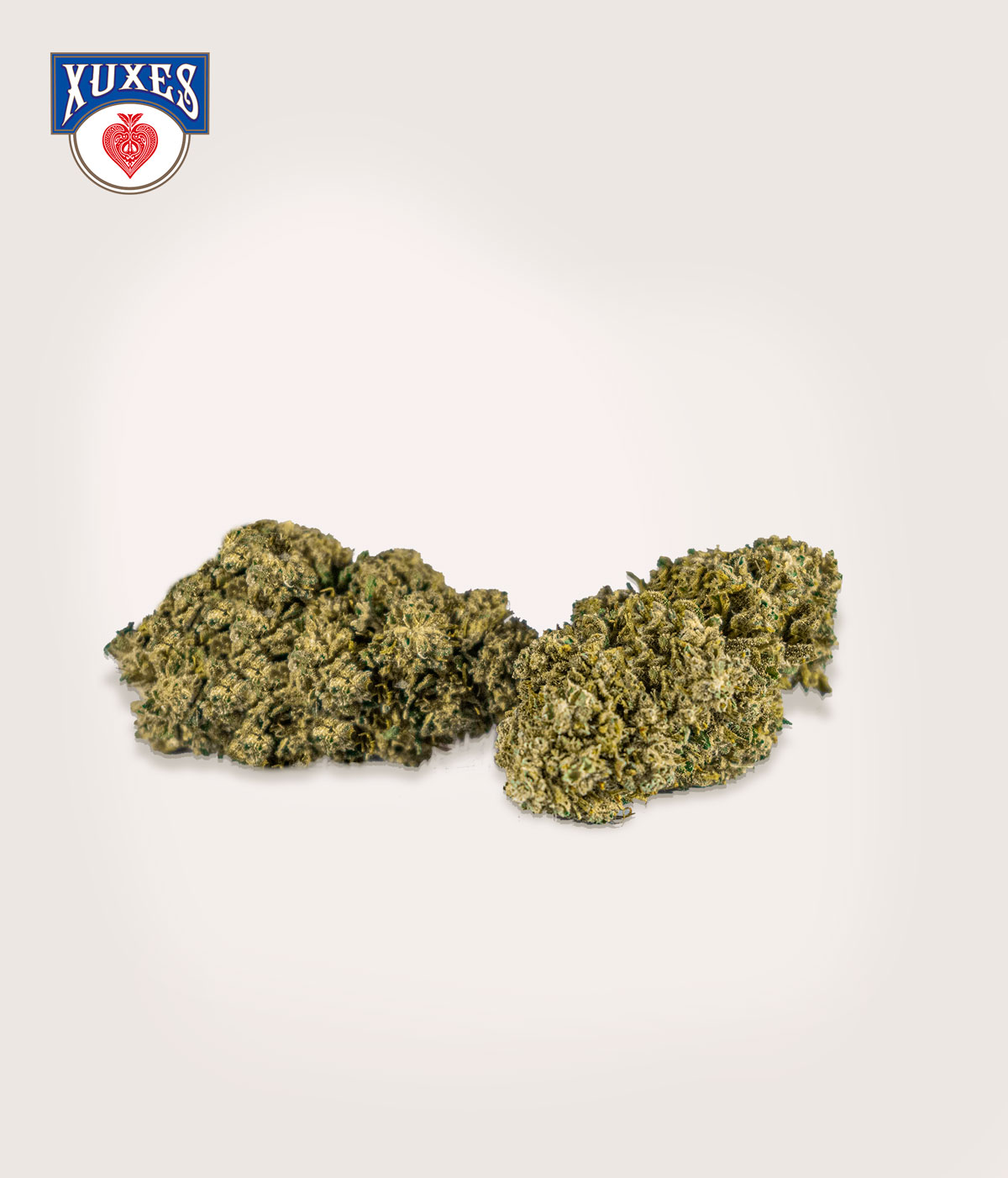 APPLE JACK CBD