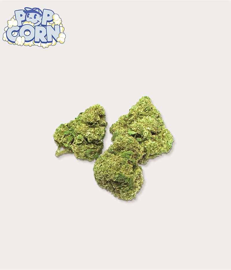 POPPY PACK