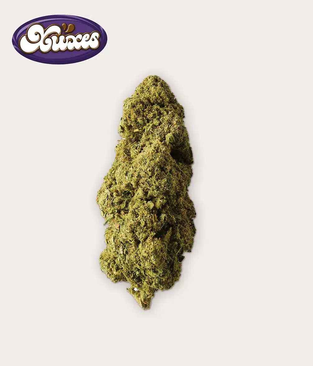COOKIES CBD