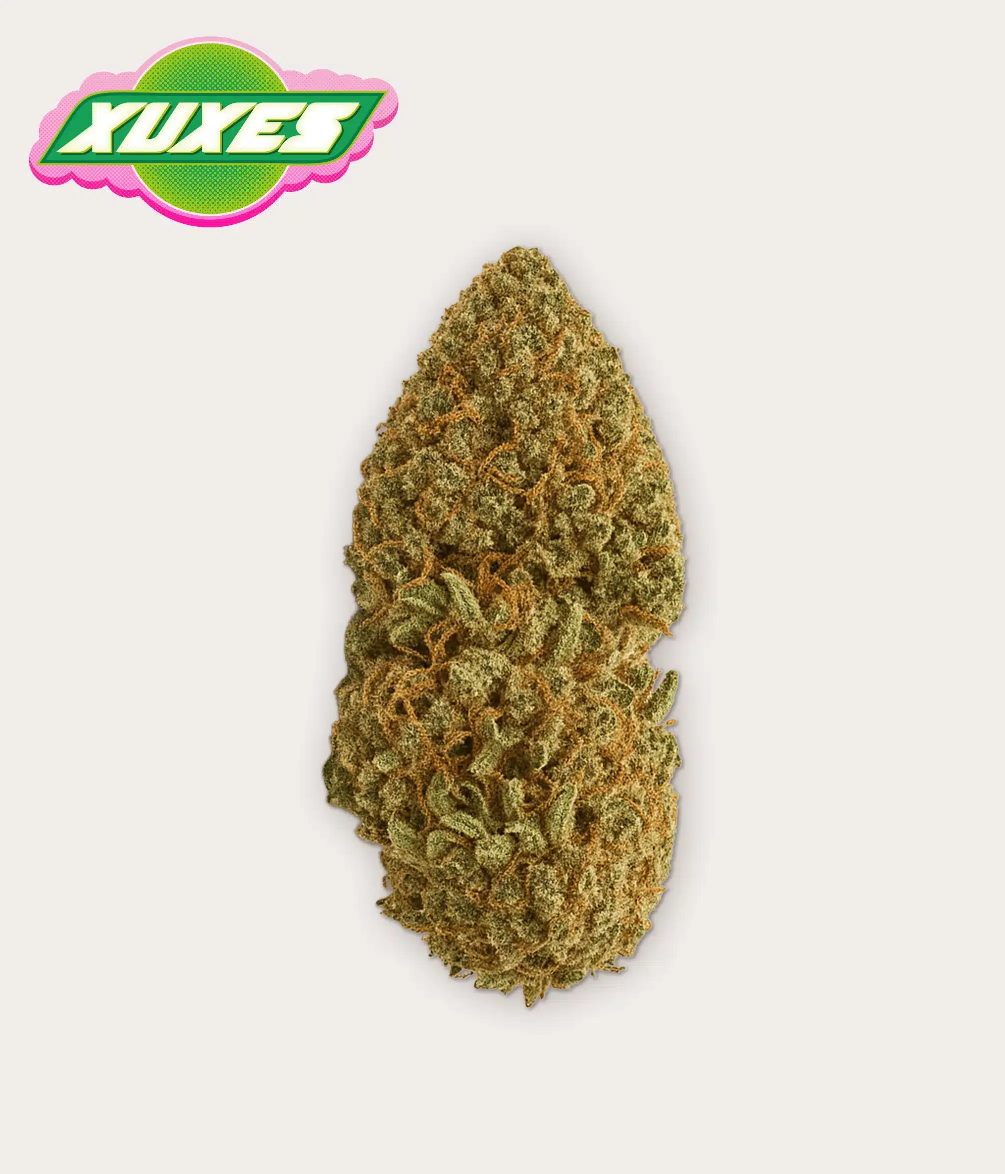CRITICAL GUAVA CBD