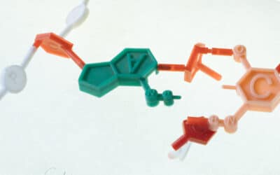 Sistema endocannabinoide: qué es y cómo funciona