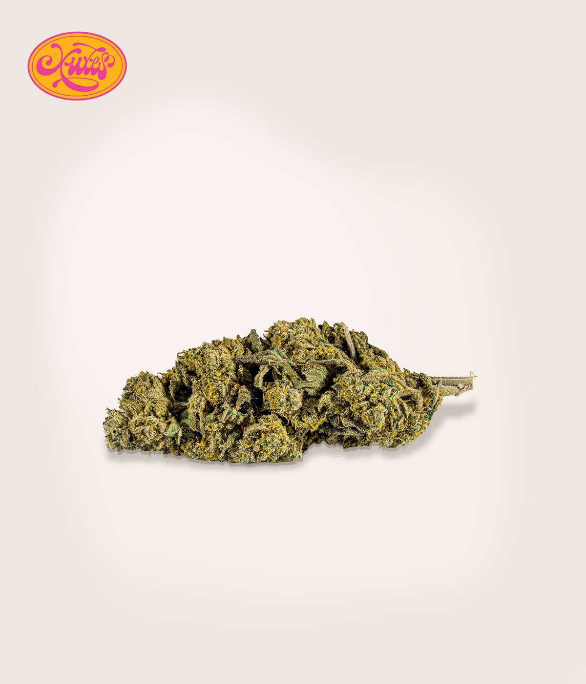 TASTY PACK CBD