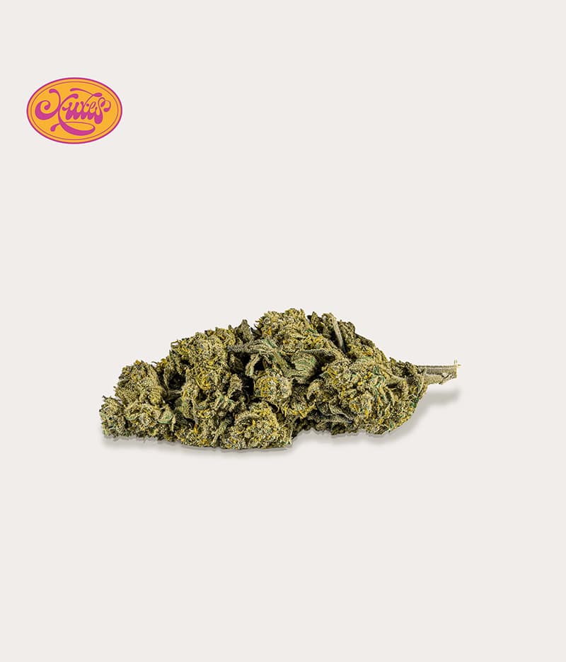 GELATO CBD