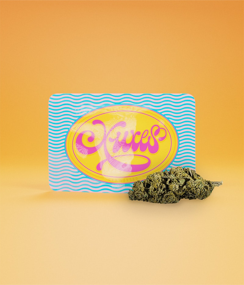 GELATO CBD