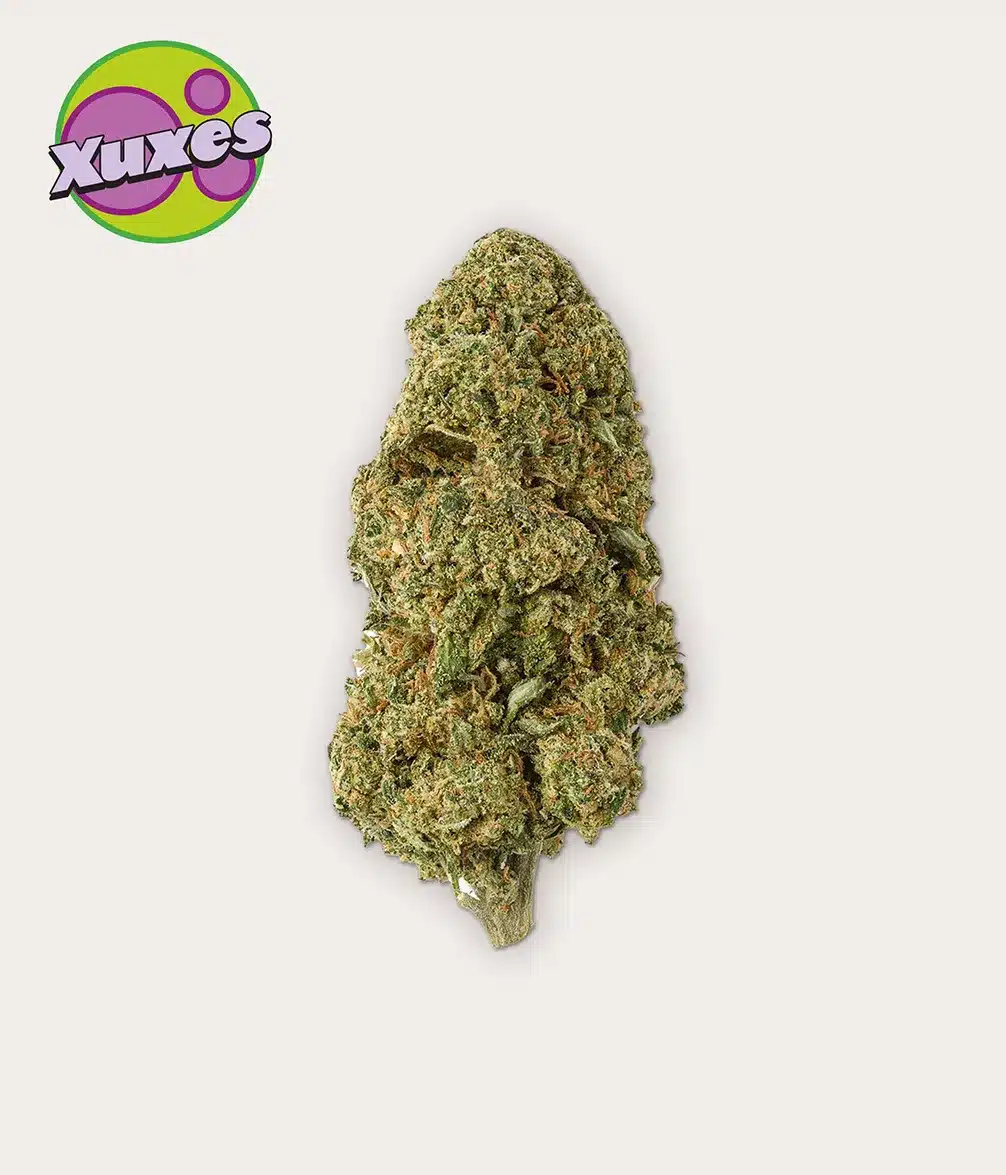 FULL PACK CBD