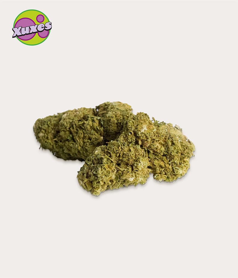 COMBO PACK CBD