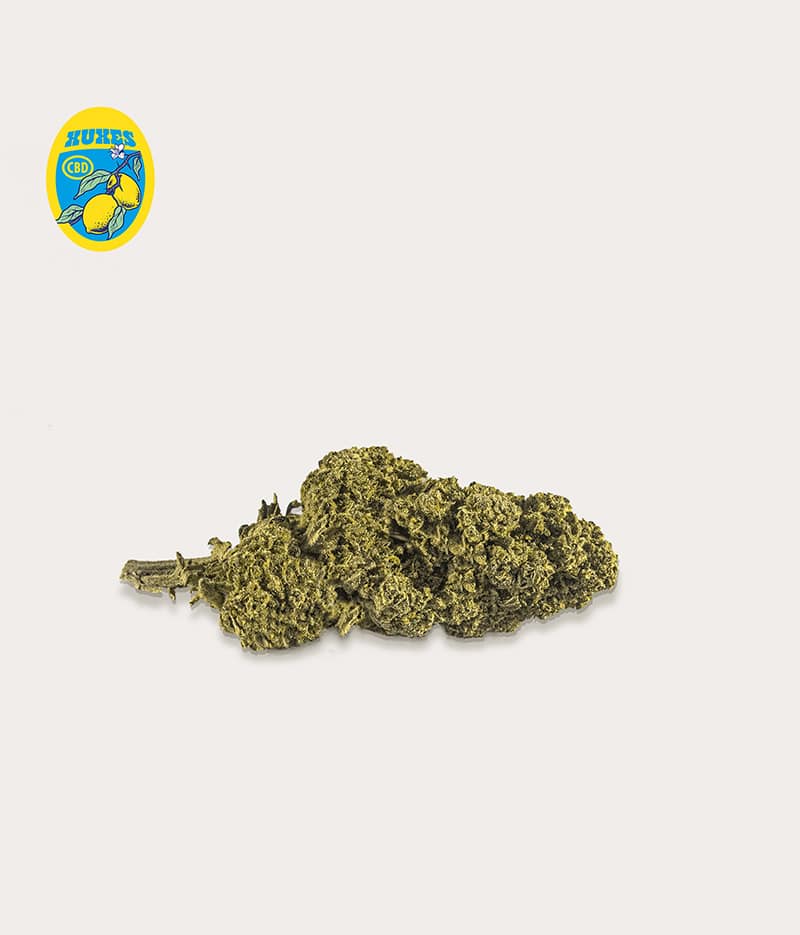 COMBO PACK CBD