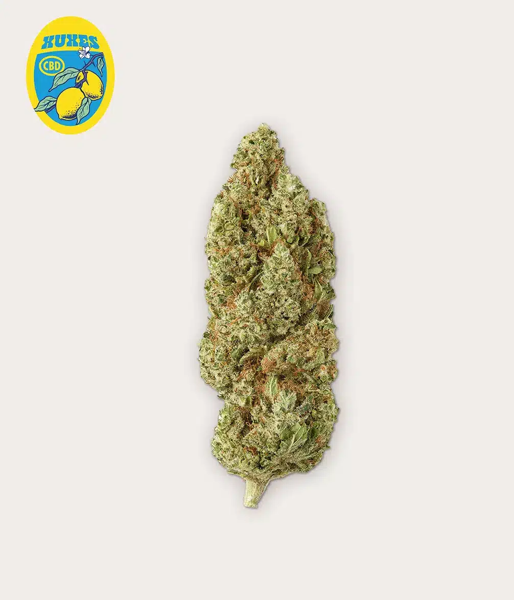 LEMON CBD