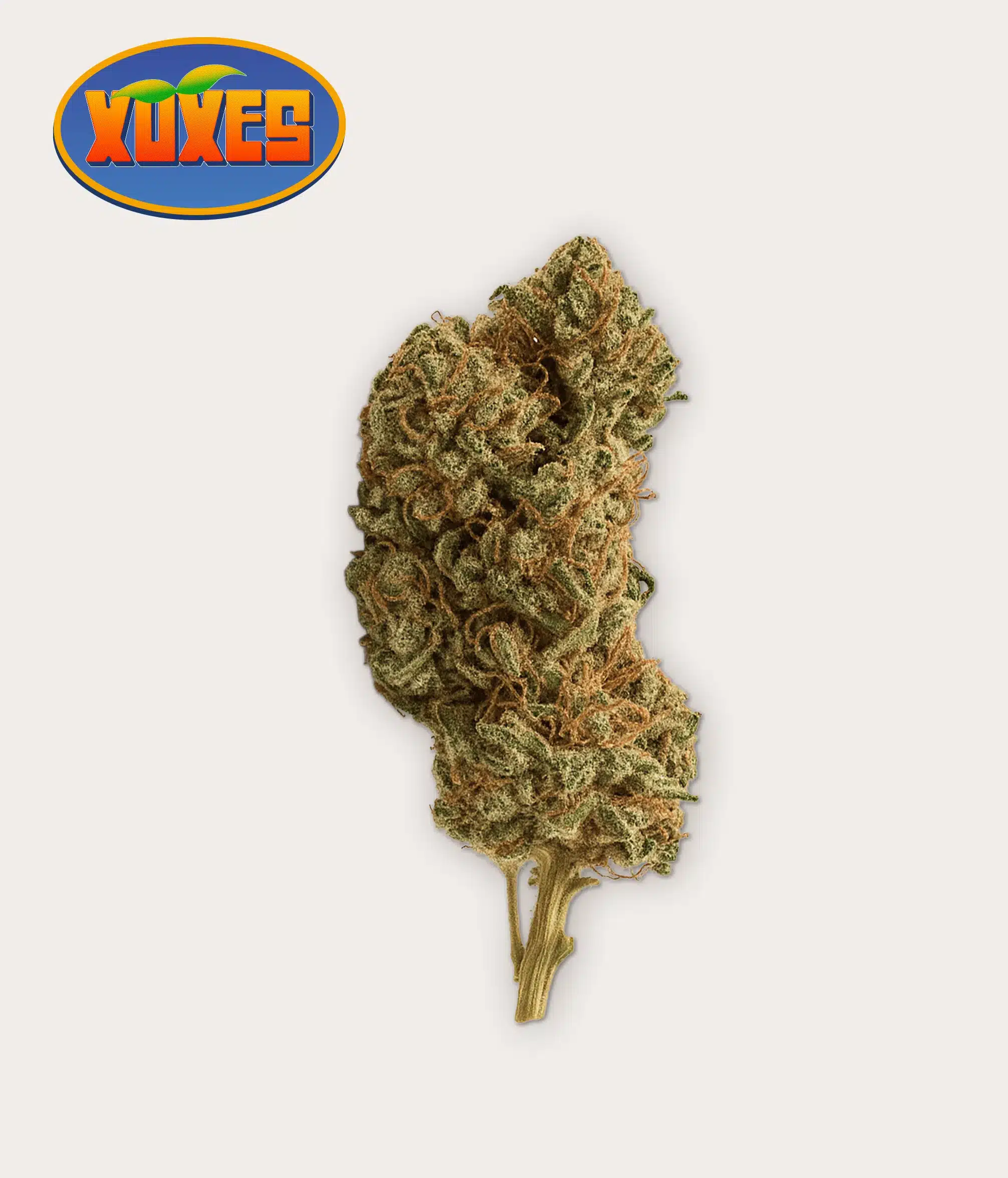 MANDARIN HAZE CBD