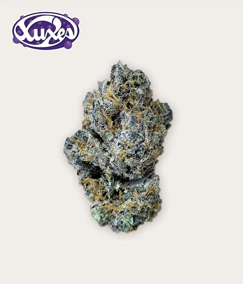 PURPLE HAZE CBD