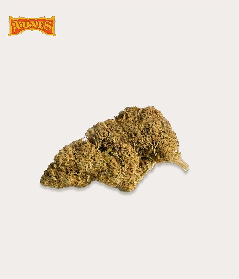 New Pack CBD