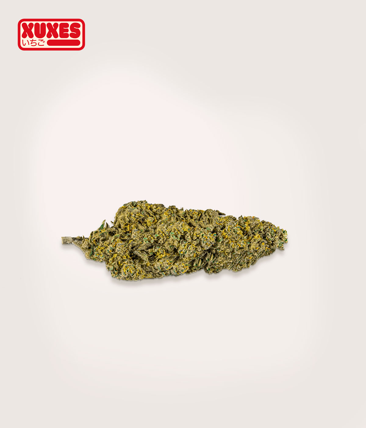 TASTY PACK CBD