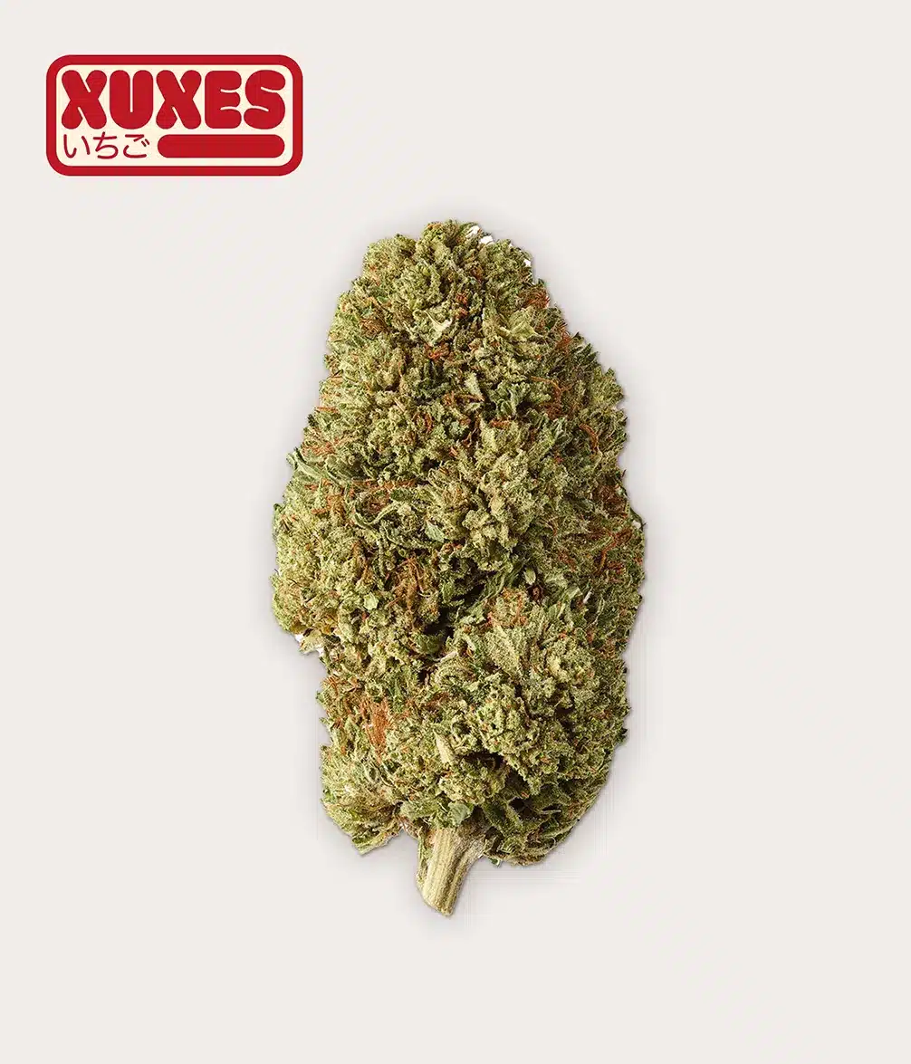STRAWBERRY CBD