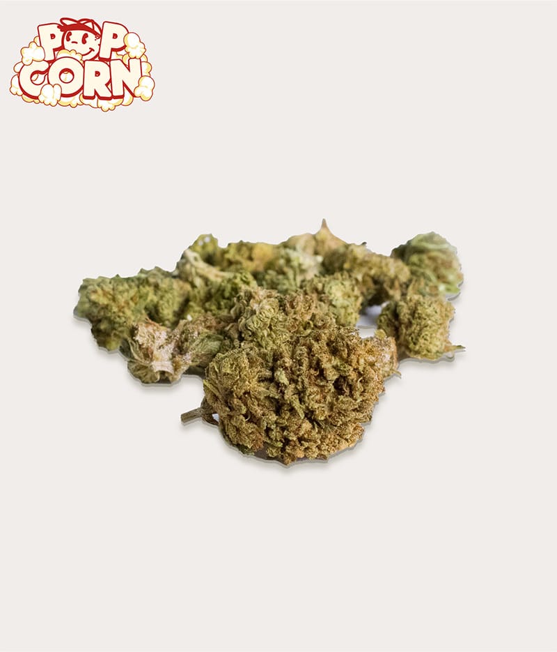 Sweet Mandarin Pop Corn CBD