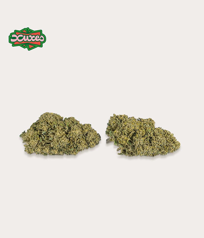 COMBO PACK CBD