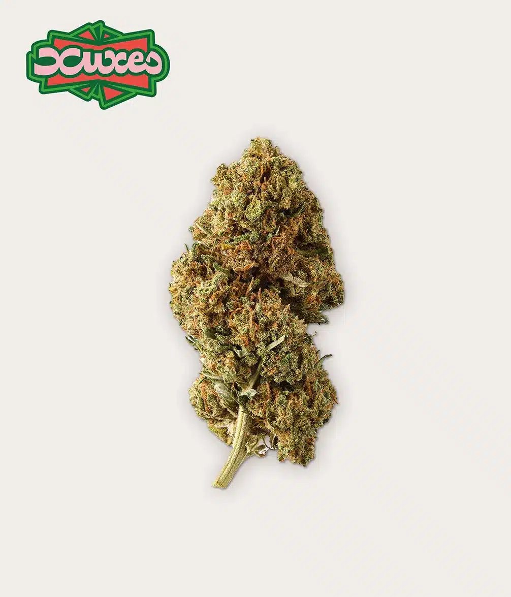 GREEN PACK CBD